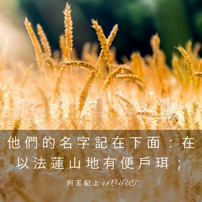 Picture 03 - 列 王 紀 上 4:8 CUVT - 他 們 的 名 字 記 在 下 面 ： 在 以 - Bible Verse Picture