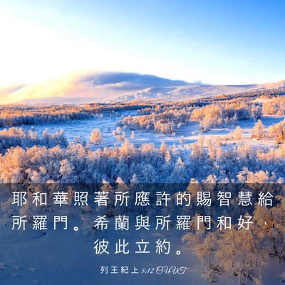 Picture 03 - 列 王 紀 上 5:12 CUVT - 耶 和 華 照 著 所 應 許 的 賜 智 慧 - Bible Verse Picture