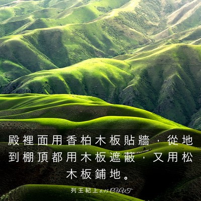 Picture 03 - 列 王 紀 上 6:15 CUVT - 殿 裡 面 用 香 柏 木 板 貼 牆 ， 從 - Bible Verse Picture