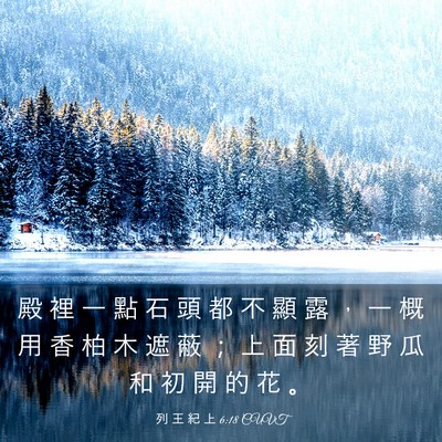 Picture 03 - 列 王 紀 上 6:18 CUVT - 殿 裡 一 點 石 頭 都 不 顯 露 ， 一 - Bible Verse Picture