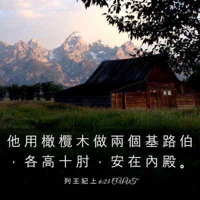 Picture 03 - 列 王 紀 上 6:23 CUVT - 他 用 橄 欖 木 做 兩 個 基 路 伯 ， - Bible Verse Picture