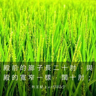 Picture 03 - 列 王 紀 上 6:3 CUVT - 殿 前 的 廊 子 長 二 十 肘 ， 與 殿 - Bible Verse Picture