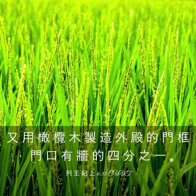Picture 03 - 列 王 紀 上 6:33 CUVT - 又 用 橄 欖 木 製 造 外 殿 的 門 框 - Bible Verse Picture