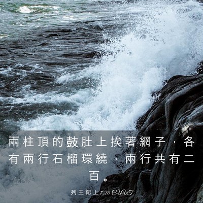 Picture 03 - 列 王 紀 上 7:20 CUVT - 兩 柱 頂 的 鼓 肚 上 挨 著 網 子 ， - Bible Verse Picture