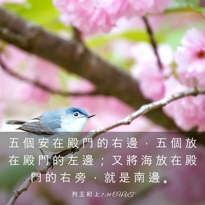 Picture 03 - 列 王 紀 上 7:39 CUVT - 五 個 安 在 殿 門 的 右 邊 ， 五 個 - Bible Verse Picture