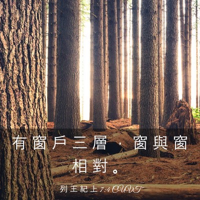 Picture 03 - 列 王 紀 上 7:4 CUVT - 有 窗 戶 三 層 ， 窗 與 窗 相 對 - Bible Verse Picture