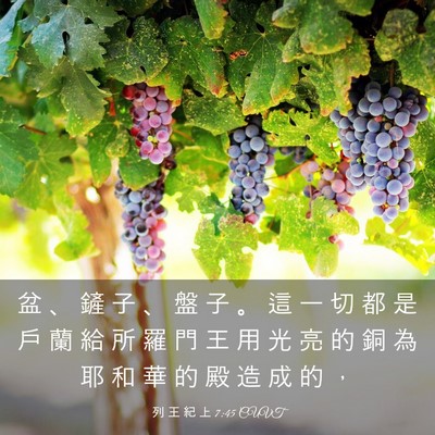 Picture 03 - 列 王 紀 上 7:45 CUVT - 盆 、 鏟 子 、 盤 子 。 這 一 切 都 - Bible Verse Picture