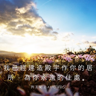 Picture 03 - 列 王 紀 上 8:13 CUVT - 我 已 經 建 造 殿 宇 作 你 的 居 所 - Bible Verse Picture