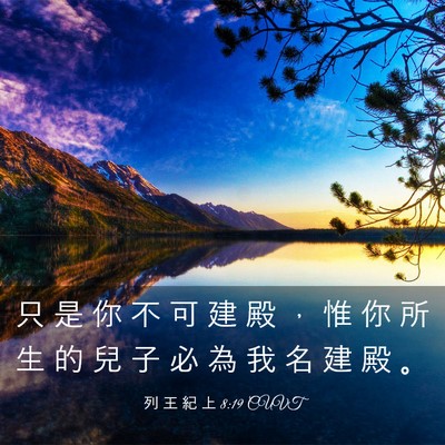 Picture 03 - 列 王 紀 上 8:19 CUVT - 只 是 你 不 可 建 殿 ， 惟 你 所 生 - Bible Verse Picture