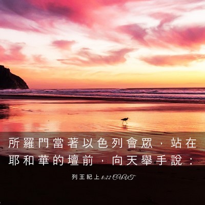 Picture 03 - 列 王 紀 上 8:22 CUVT - 所 羅 門 當 著 以 色 列 會 眾 ， 站 - Bible Verse Picture