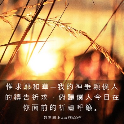 Picture 03 - 列 王 紀 上 8:28 CUVT - 惟 求 耶 和 華 ─ 我 的 神 垂 顧 僕 - Bible Verse Picture