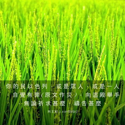 Picture 03 - 列 王 紀 上 8:38 CUVT - 你 的 民 以 色 列 ， 或 是 眾 人 ， - Bible Verse Picture