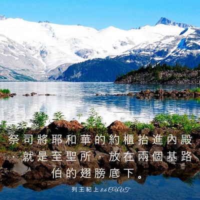 Picture 03 - 列 王 紀 上 8:6 CUVT - 祭 司 將 耶 和 華 的 約 櫃 抬 進 內 - Bible Verse Picture