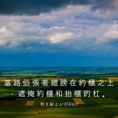 Picture 03 - 列 王 紀 上 8:7 CUVT - 基 路 伯 張 著 翅 膀 在 約 櫃 之 上 - Bible Verse Picture