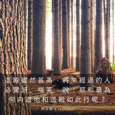 Picture 03 - 列 王 紀 上 9:8 CUVT - 這 殿 雖 然 甚 高 ， 將 來 經 過 的 - Bible Verse Picture
