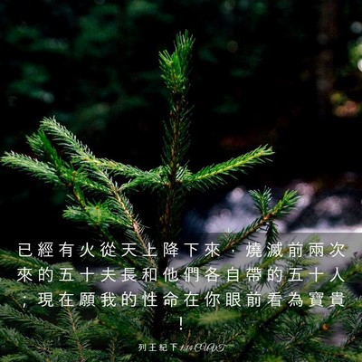 Picture 03 - 列 王 紀 下 1:14 CUVT - 已 經 有 火 從 天 上 降 下 來 ， 燒 - Bible Verse Picture