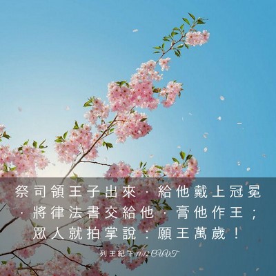Picture 03 - 列 王 紀 下 11:12 CUVT - 祭 司 領 王 子 出 來 ， 給 他 戴 上 - Bible Verse Picture