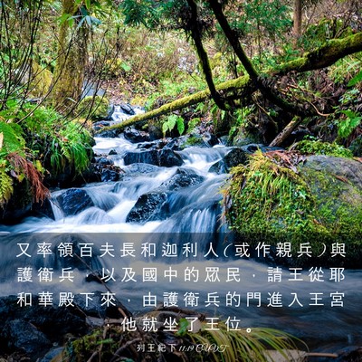 Picture 03 - 列 王 紀 下 11:19 CUVT - 又 率 領 百 夫 長 和 迦 利 人 ( 或 作 - Bible Verse Picture