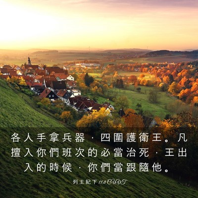 Picture 03 - 列 王 紀 下 11:8 CUVT - 各 人 手 拿 兵 器 ， 四 圍 護 衛 王 - Bible Verse Picture