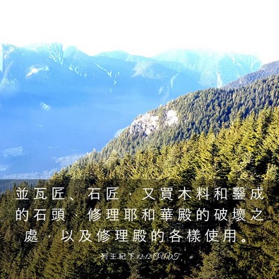 Picture 03 - 列 王 紀 下 12:12 CUVT - 並 瓦 匠 、 石 匠 ， 又 買 木 料 和 - Bible Verse Picture