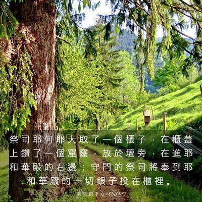 Picture 03 - 列 王 紀 下 12:9 CUVT - 祭 司 耶 何 耶 大 取 了 一 個 櫃 子 - Bible Verse Picture