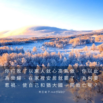 Picture 03 - 列 王 紀 下 14:10 CUVT - 你 打 敗 了 以 東 人 就 心 高 氣 傲 - Bible Verse Picture