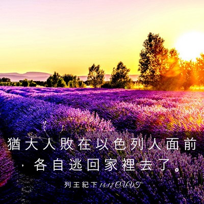 Picture 03 - 列 王 紀 下 14:12 CUVT - 猶 大 人 敗 在 以 色 列 人 面 前 ， - Bible Verse Picture