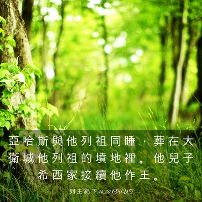Picture 03 - 列 王 紀 下 16:20 CUVT - 亞 哈 斯 與 他 列 祖 同 睡 ， 葬 在 - Bible Verse Picture