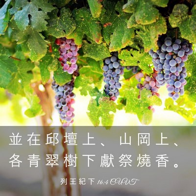 Picture 03 - 列 王 紀 下 16:4 CUVT - 並 在 邱 壇 上 、 山 岡 上 、 各 青 - Bible Verse Picture