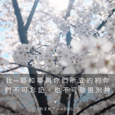 Picture 03 - 列 王 紀 下 17:38 CUVT - 我 ─ 耶 和 華 與 你 們 所 立 的 約 - Bible Verse Picture