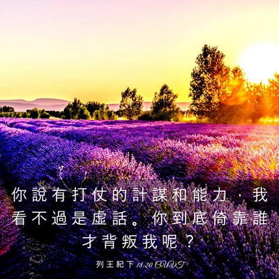Picture 03 - 列 王 紀 下 18:20 CUVT - 你 說 有 打 仗 的 計 謀 和 能 力 ， - Bible Verse Picture
