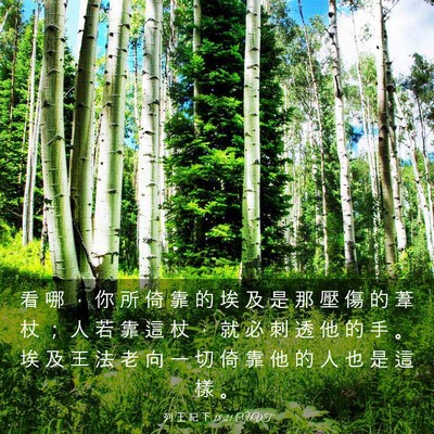 Picture 03 - 列 王 紀 下 18:21 CUVT - 看 哪 ， 你 所 倚 靠 的 埃 及 是 那 - Bible Verse Picture
