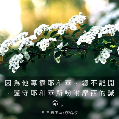 Picture 03 - 列 王 紀 下 18:6 CUVT - 因 為 他 專 靠 耶 和 華 ， 總 不 離 - Bible Verse Picture