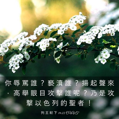 Picture 03 - 列 王 紀 下 19:22 CUVT - 你 辱 罵 誰 ？ 褻 瀆 誰 ？ 揚 起 聲 - Bible Verse Picture