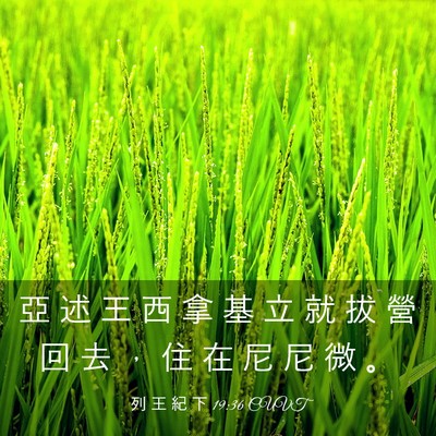 Picture 03 - 列 王 紀 下 19:36 CUVT - 亞 述 王 西 拿 基 立 就 拔 營 回 去 - Bible Verse Picture