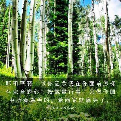 Picture 03 - 列 王 紀 下 20:3 CUVT - 耶 和 華 啊 ， 求 你 記 念 我 在 你 - Bible Verse Picture