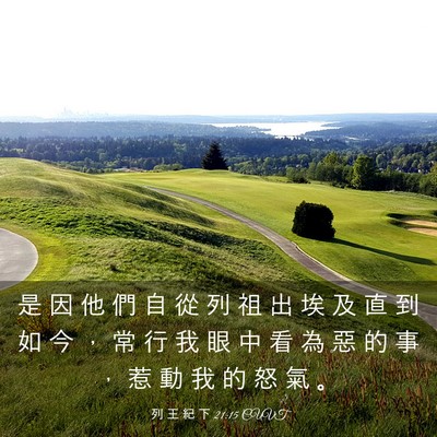 Picture 03 - 列 王 紀 下 21:15 CUVT - 是 因 他 們 自 從 列 祖 出 埃 及 直 - Bible Verse Picture