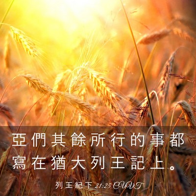 Picture 03 - 列 王 紀 下 21:25 CUVT - 亞 們 其 餘 所 行 的 事 都 寫 在 猶 - Bible Verse Picture