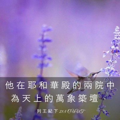 Picture 03 - 列 王 紀 下 21:5 CUVT - 他 在 耶 和 華 殿 的 兩 院 中 為 天 - Bible Verse Picture