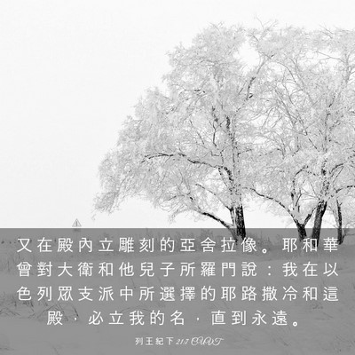Picture 03 - 列 王 紀 下 21:7 CUVT - 又 在 殿 內 立 雕 刻 的 亞 舍 拉 像 - Bible Verse Picture
