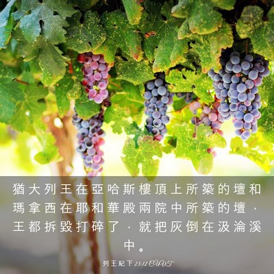 Picture 03 - 列 王 紀 下 23:12 CUVT - 猶 大 列 王 在 亞 哈 斯 樓 頂 上 所 - Bible Verse Picture