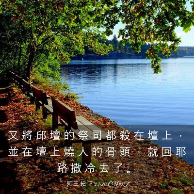 Picture 03 - 列 王 紀 下 23:20 CUVT - 又 將 邱 壇 的 祭 司 都 殺 在 壇 上 - Bible Verse Picture