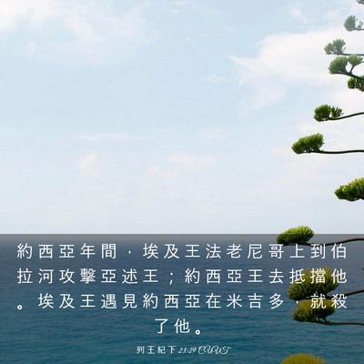 Picture 03 - 列 王 紀 下 23:29 CUVT - 約 西 亞 年 間 ， 埃 及 王 法 老 尼 - Bible Verse Picture