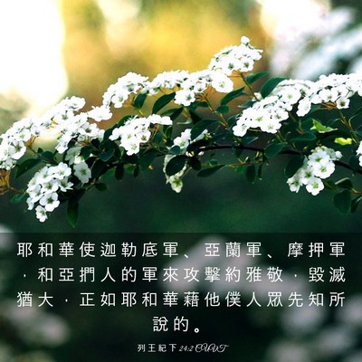 Picture 03 - 列 王 紀 下 24:2 CUVT - 耶 和 華 使 迦 勒 底 軍 、 亞 蘭 軍 - Bible Verse Picture