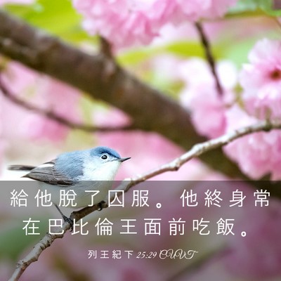 Picture 03 - 列 王 紀 下 25:29 CUVT - 給 他 脫 了 囚 服 。 他 終 身 常 在 - Bible Verse Picture