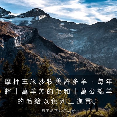 Picture 03 - 列 王 紀 下 3:4 CUVT - 摩 押 王 米 沙 牧 養 許 多 羊 ， 每 - Bible Verse Picture