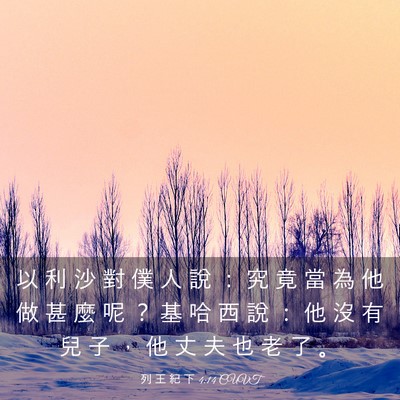 Picture 03 - 列 王 紀 下 4:14 CUVT - 以 利 沙 對 僕 人 說 ： 究 竟 當 為 - Bible Verse Picture