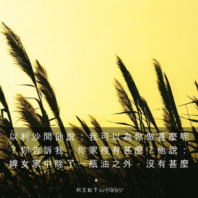 Picture 03 - 列 王 紀 下 4:2 CUVT - 以 利 沙 問 他 說 ： 我 可 以 為 你 - Bible Verse Picture
