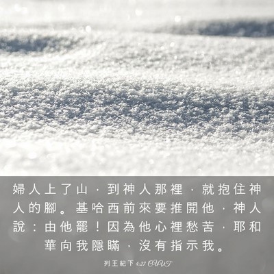 Picture 03 - 列 王 紀 下 4:27 CUVT - 婦 人 上 了 山 ， 到 神 人 那 裡 ， - Bible Verse Picture