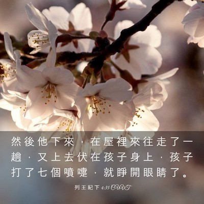 Picture 03 - 列 王 紀 下 4:35 CUVT - 然 後 他 下 來 ， 在 屋 裡 來 往 走 - Bible Verse Picture